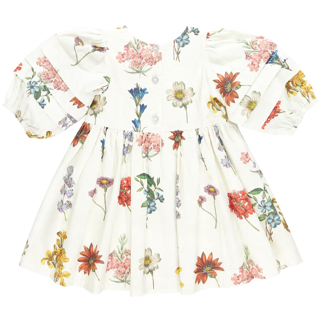 Pink Chicken Girls Brooke Dress - Notebook Botanical